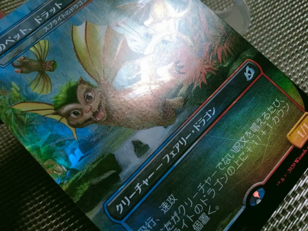 【ご確認用】イコリア foil 理想のペット、ドラットa 日本語 1枚　MTG
