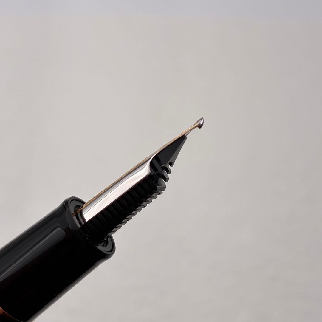 SAILOR セーラー万年筆 プロフィット21 黒 漆 螺鈿 桜 21K NMF