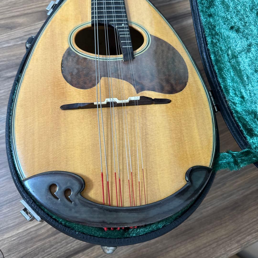 SUZUKI M-30 マンドリン 本体 ハードケース 付き