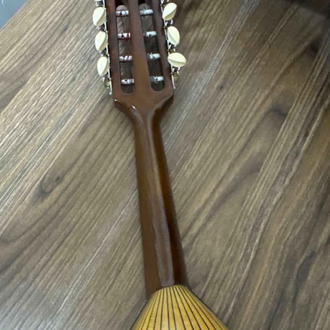 SUZUKI M-30 マンドリン 本体 ハードケース 付き