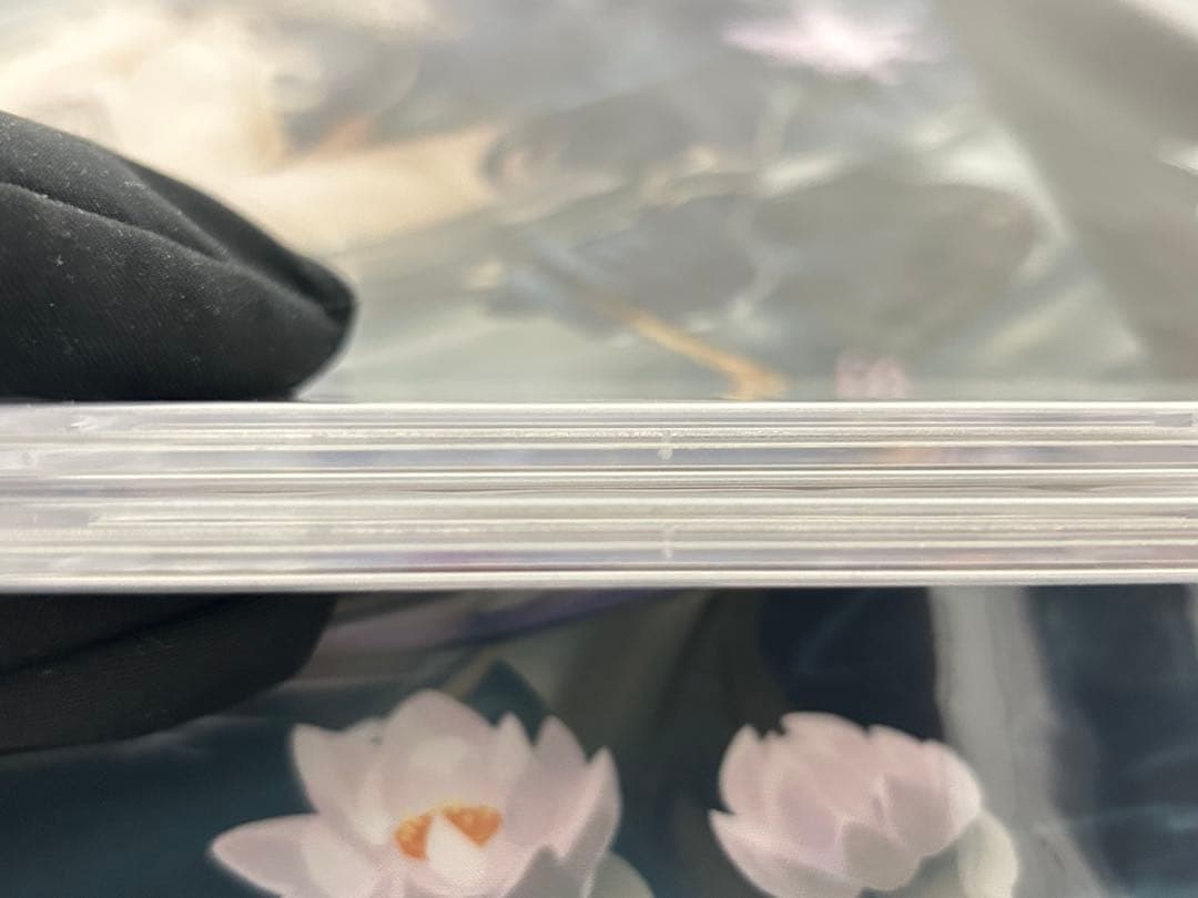 閃刀姫レイ　閃刀姫ロゼ　赤シク psa10 連番セット