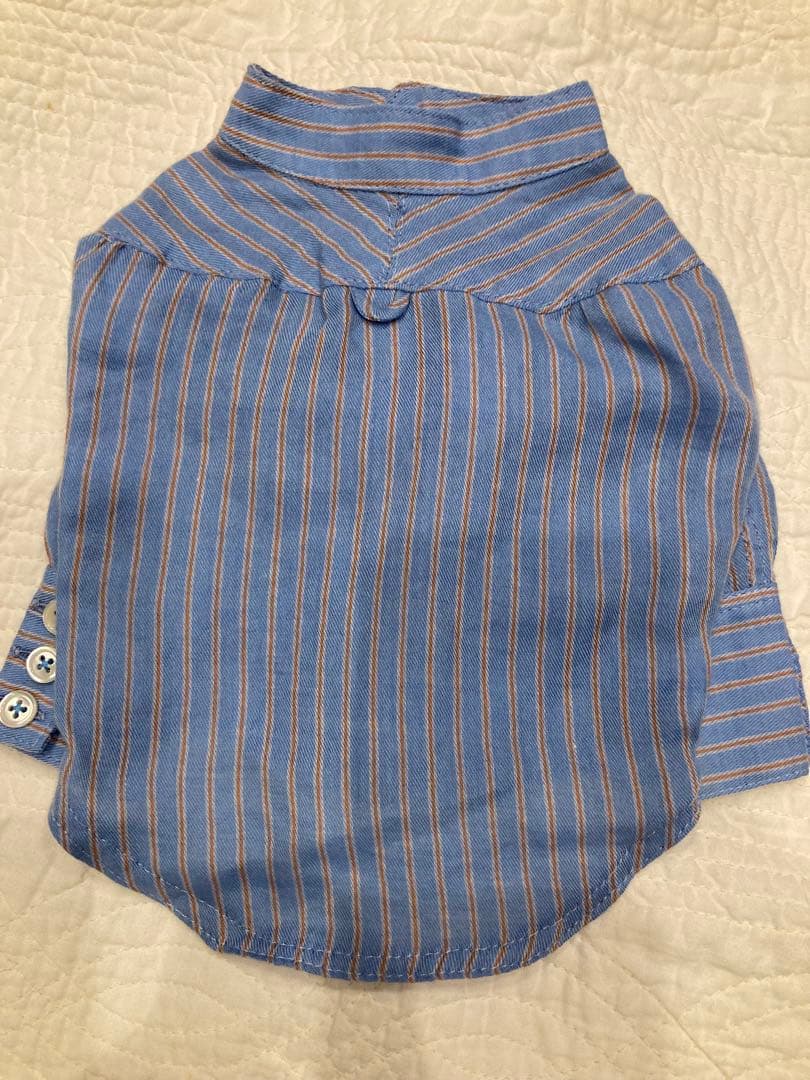 atelier gg ボタンいっぱい シャツ