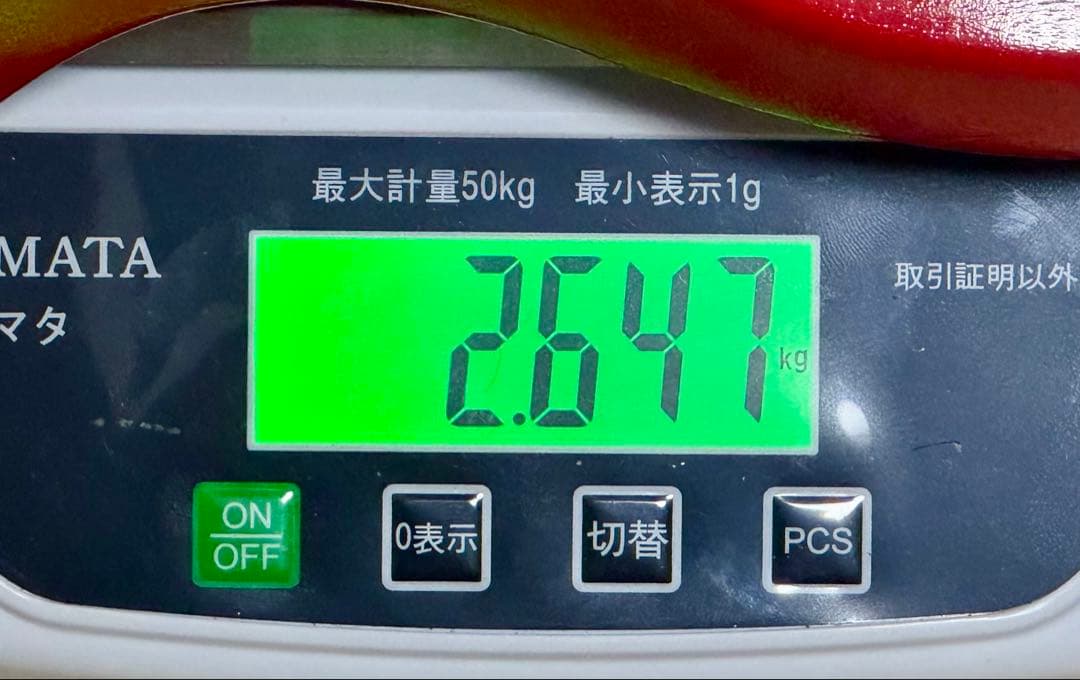 【最終特価！】Gibson 2017 SG Fusion