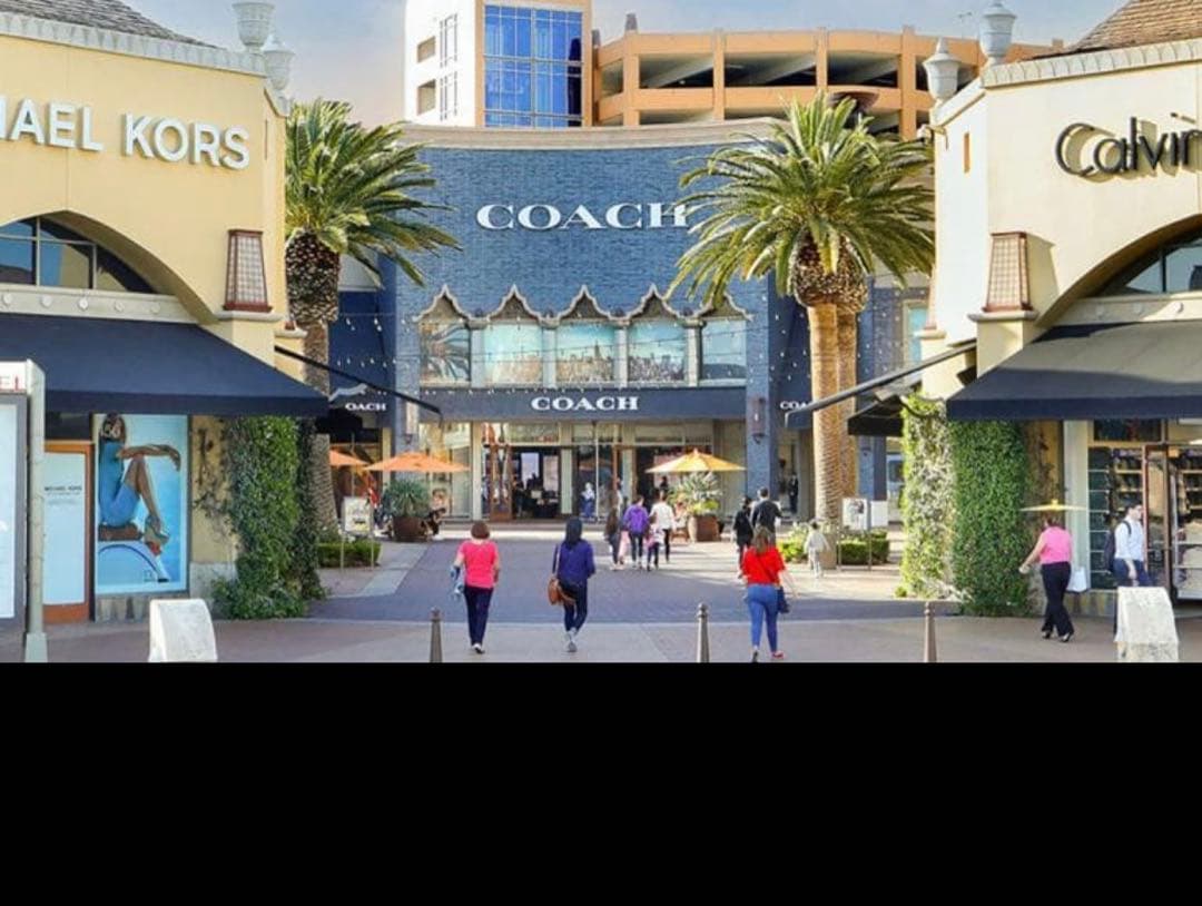 COACH ペブルレザー ピーナッツコスヌーピー ウォーク 二つ折り財布