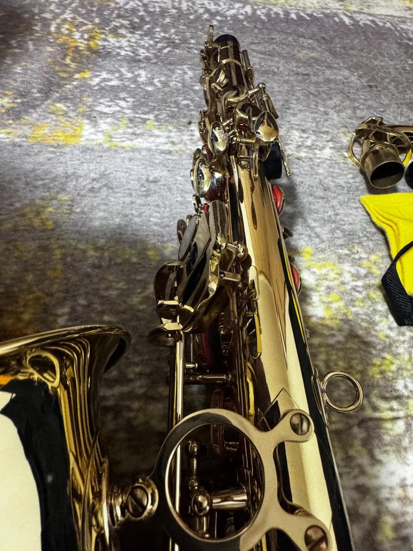 や*す様 Kaerntner アルトサクソフォンセット