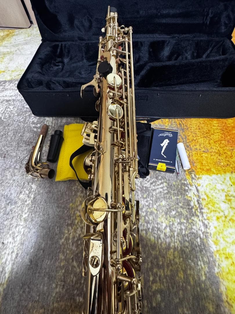 や*す様 Kaerntner アルトサクソフォンセット