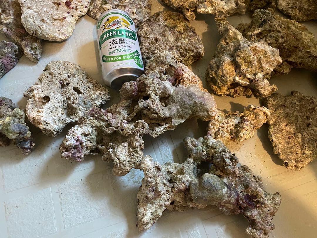 送料込み、天然ライブロック　約20kg