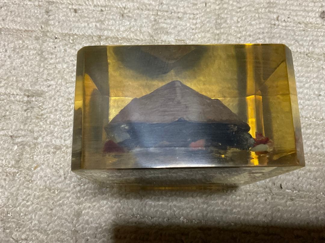 レジン亀／クサガメのレジン標本となります。【お土産品で購入した物です。】。