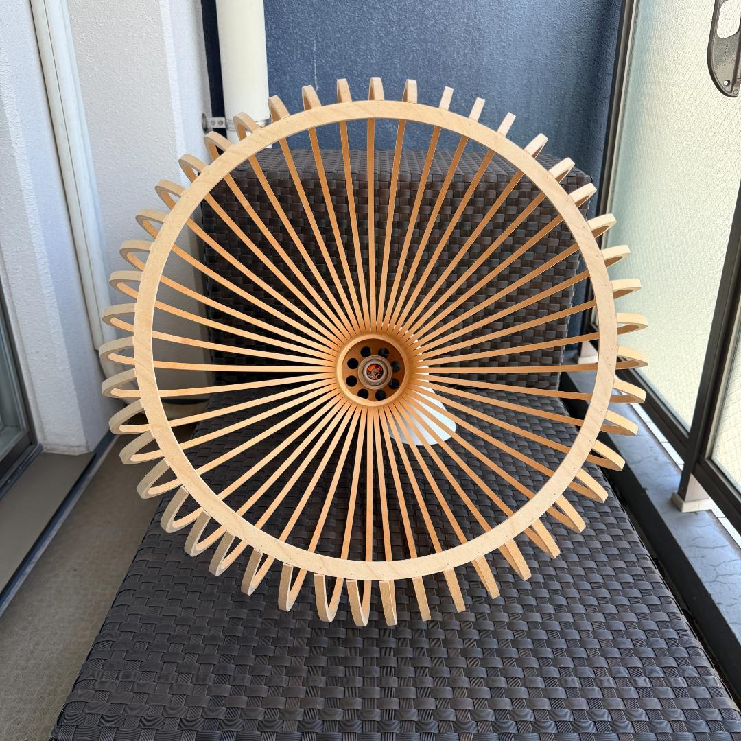 Secto セクト　ペンダントライト　Octo 4240