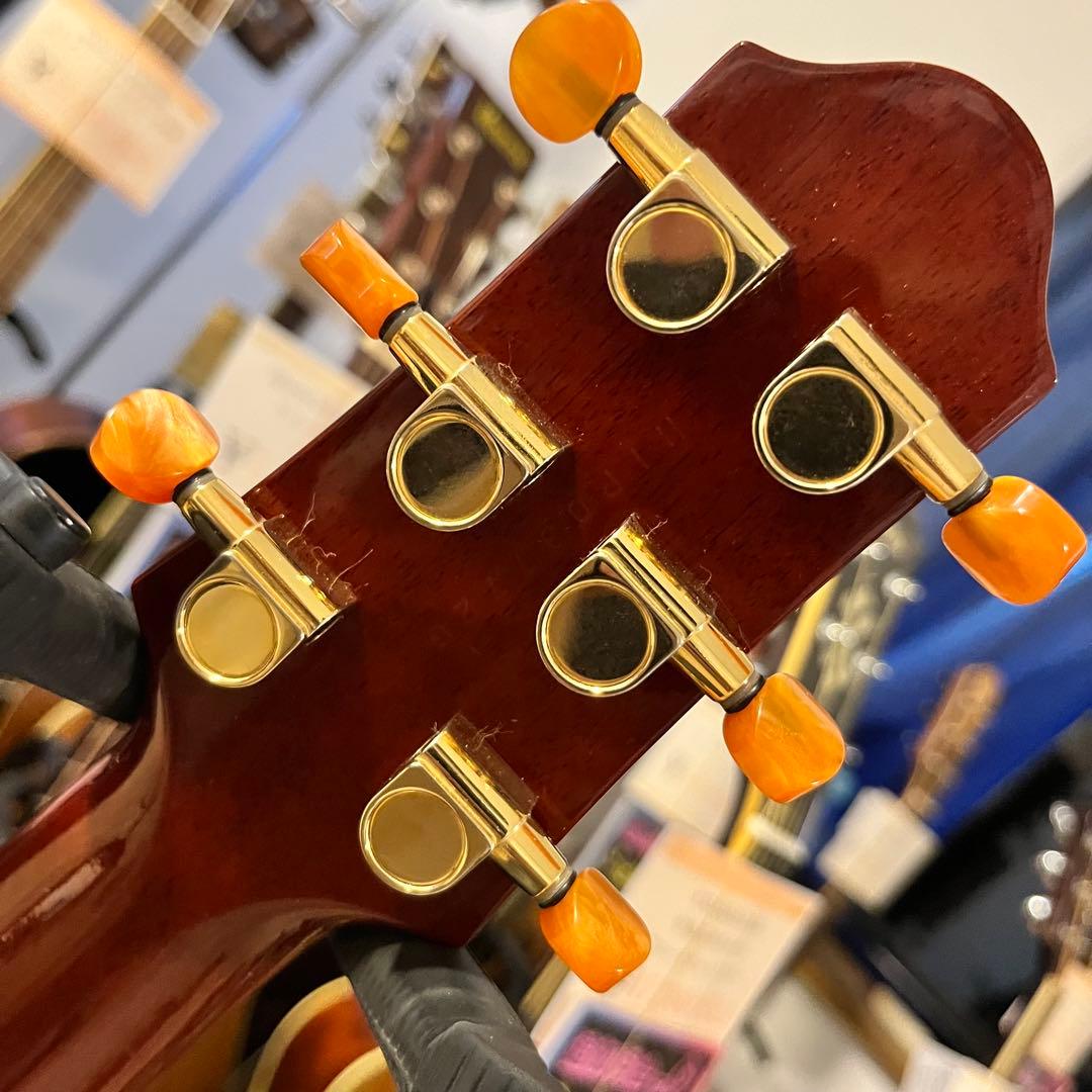 【11172】限定モデル YAMAHA SLG110S fm rtb