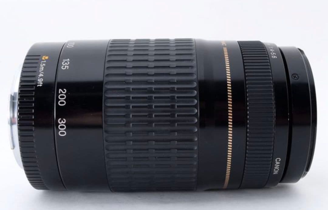 1月14日限定②OP付【超望遠レンズ】Canon EF 75-300mm USM