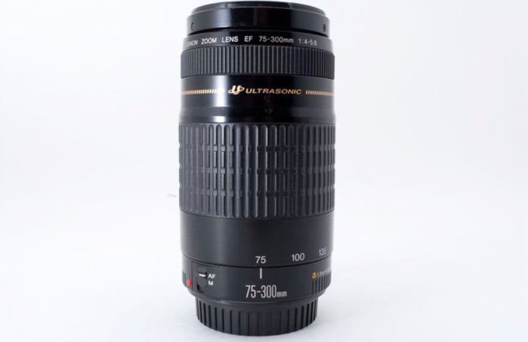 1月14日限定②OP付【超望遠レンズ】Canon EF 75-300mm USM