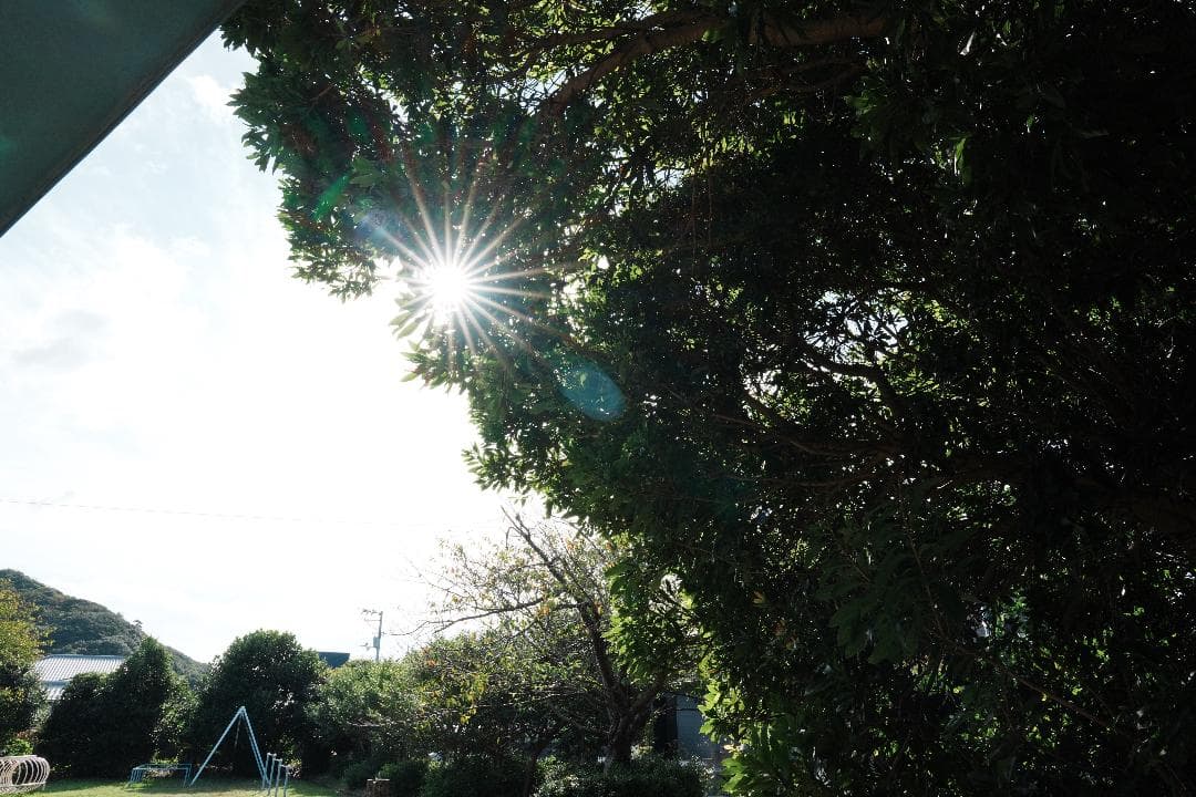 【撮影者厳選】家族の時間を映画のように SONY SEL24F14GM 未使用級