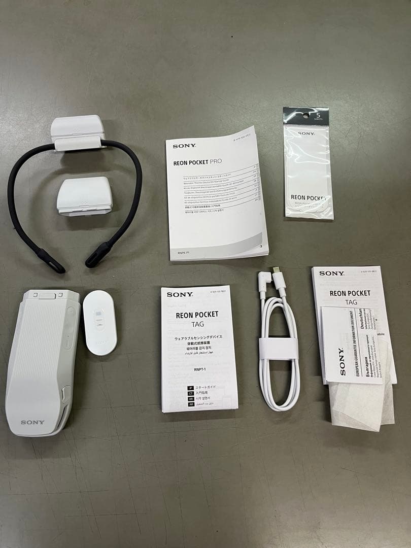 レオンポケットプロ