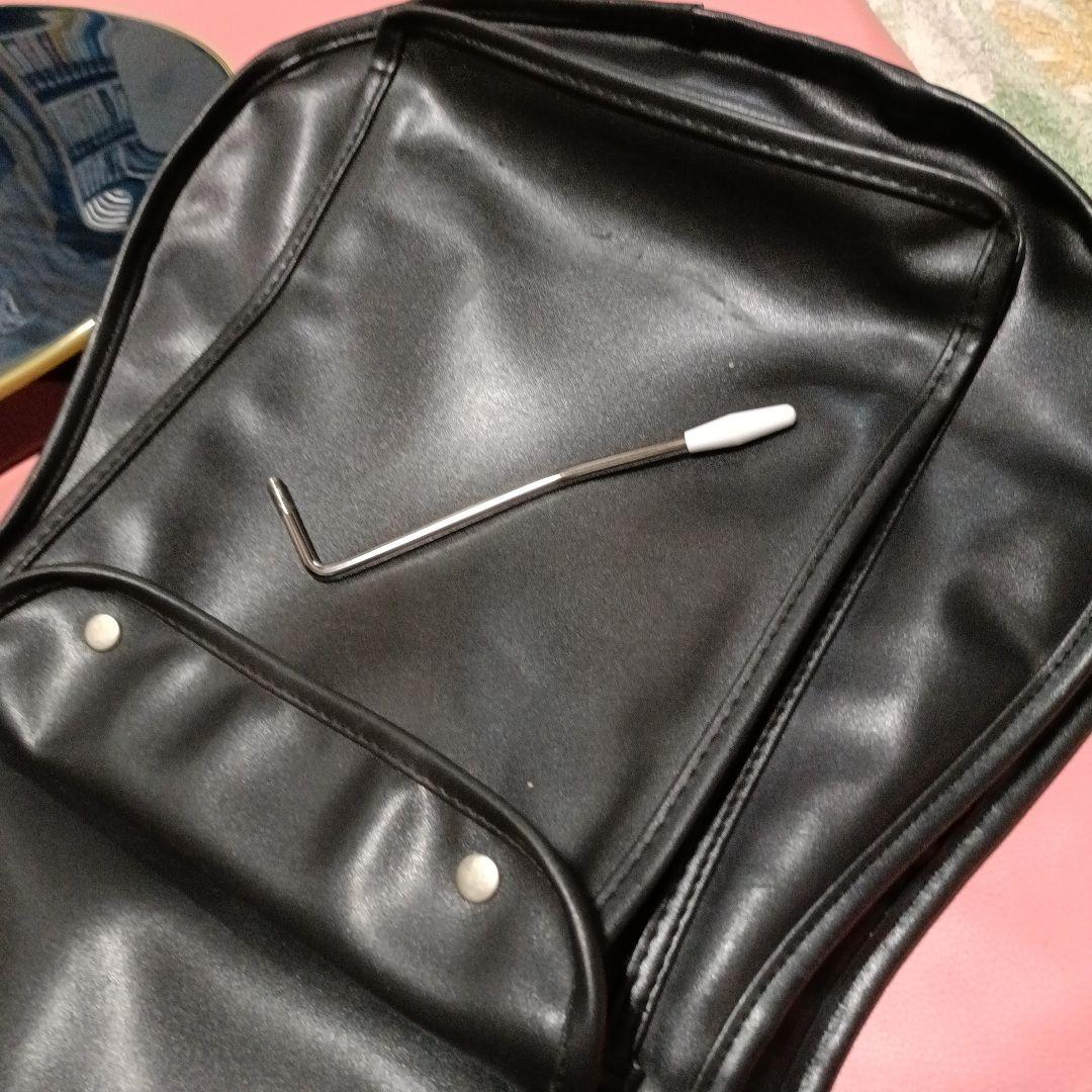 【レア】Washburn WI-66V コイルタップ　Grover　セットネック