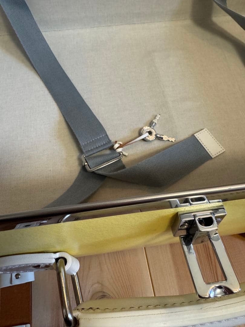 い*お様 グローブトロッター　キャリー