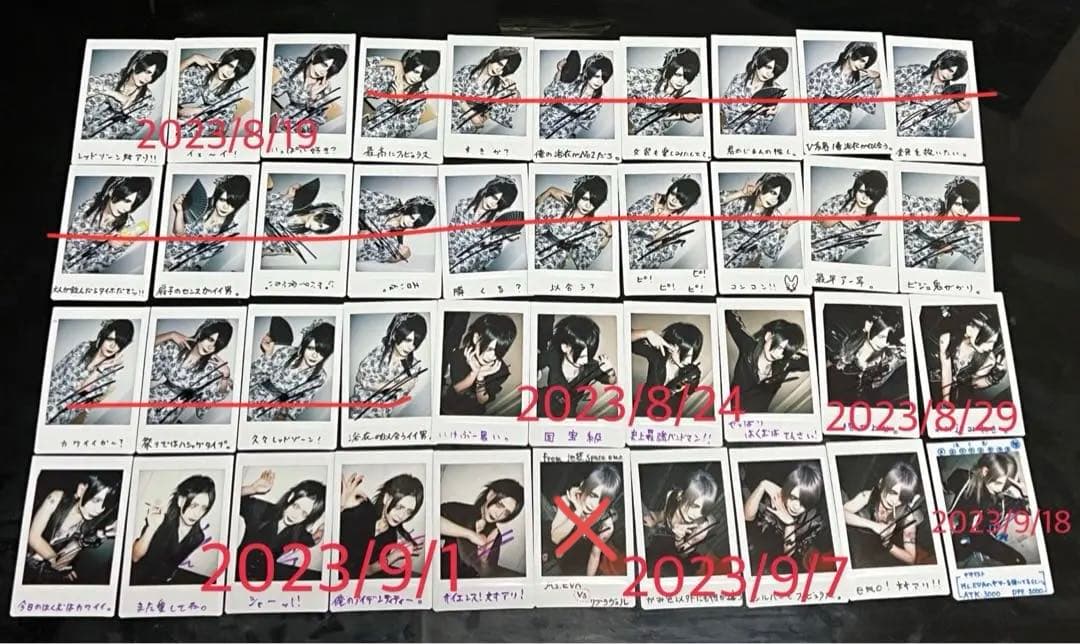 Ms.EVA/雹夢/チェキ　115枚