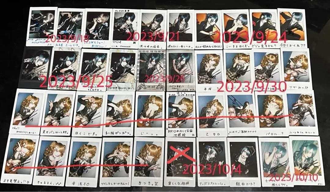 Ms.EVA/雹夢/チェキ　115枚