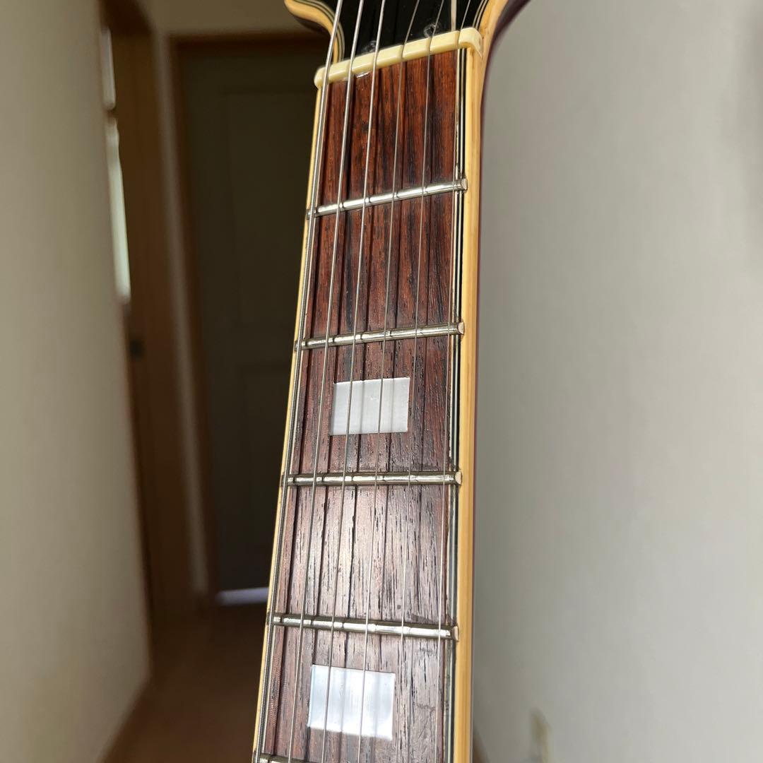 専用、ARIA Pro II TA-62C セミアコ　　gotoh