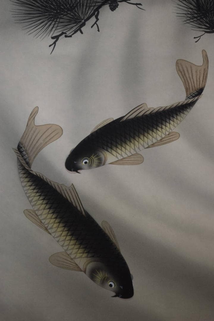 真作/春川/松鯉図/桐共箱付/布袋屋掛軸HF-115