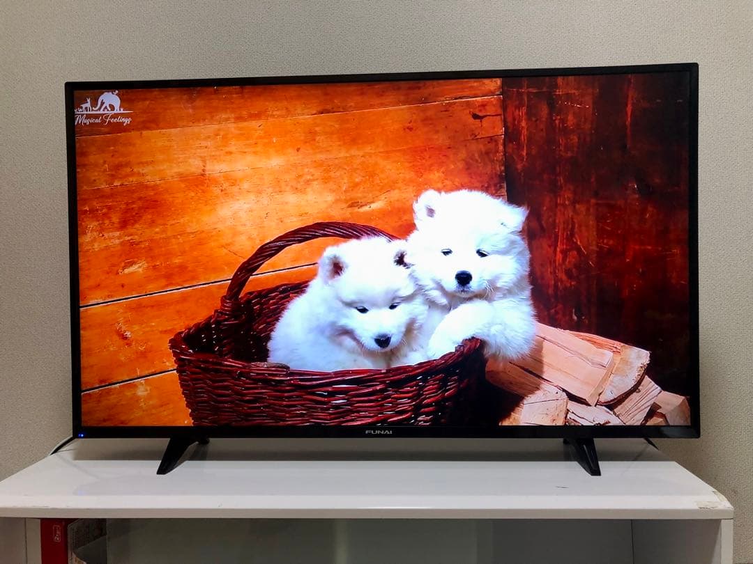 FUNAI　43V型　4K対応液晶テレビFL-43U3040 2022年製