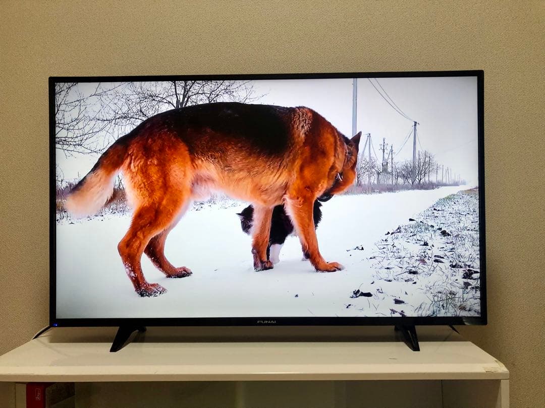 FUNAI　43V型　4K対応液晶テレビFL-43U3040 2022年製