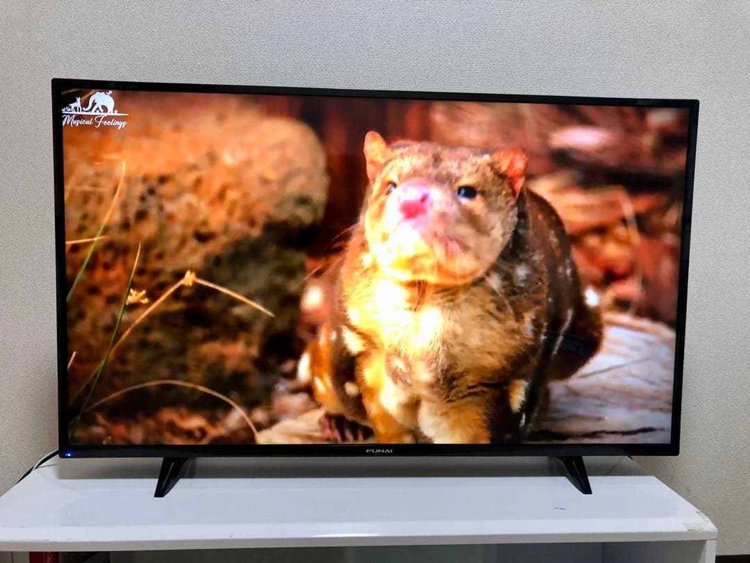 FUNAI　43V型　4K対応液晶テレビFL-43U3040 2022年製