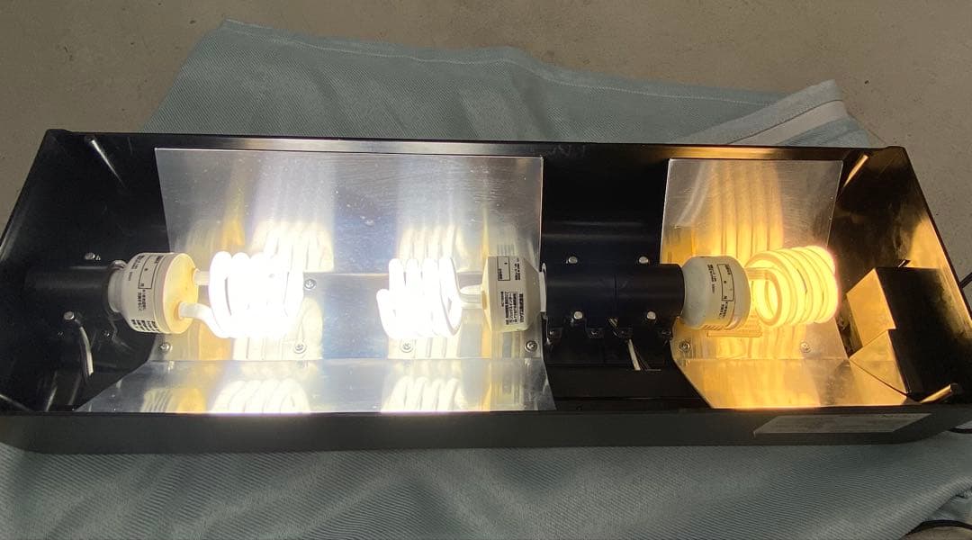 EXOTERRA 爬虫類・両生類用 グラステラリウム 照明付き 付属品多数