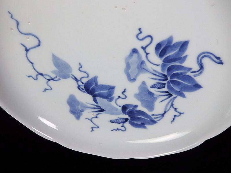 古伊万里　染付　朝顔の図　6寸皿　江戸中期 　A889AS-BGp