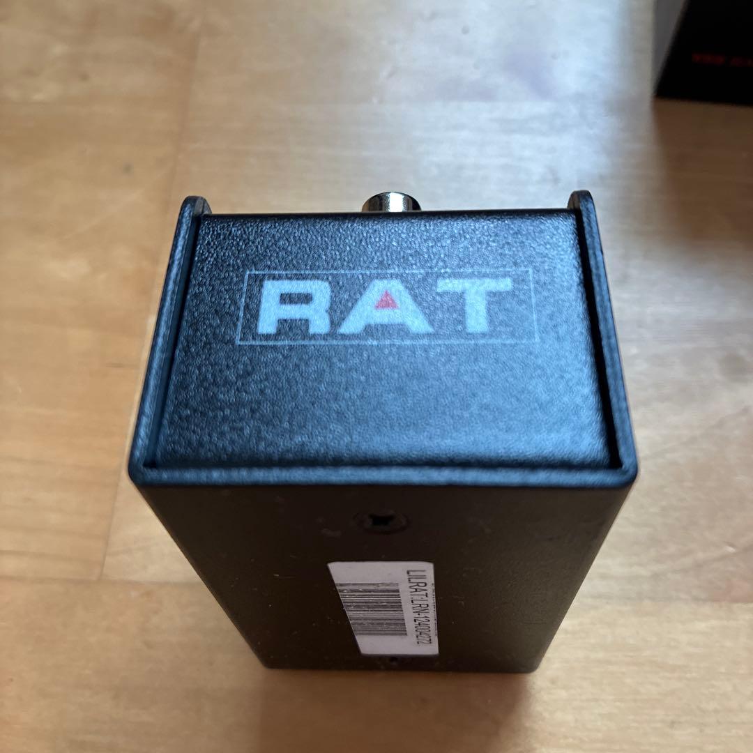 今日だけ値下げ Proco LIL' RAT