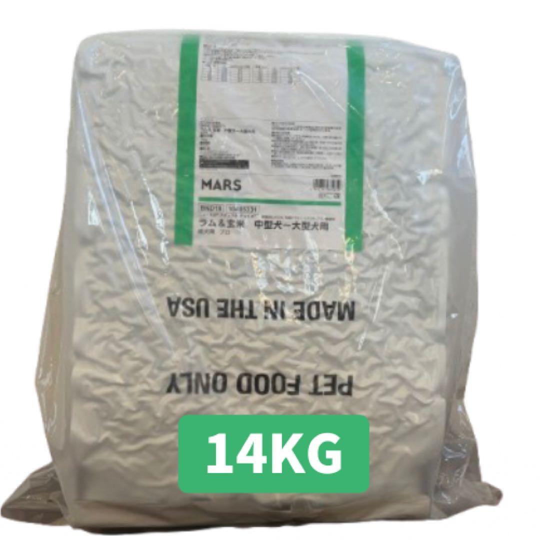 ドッグフード B