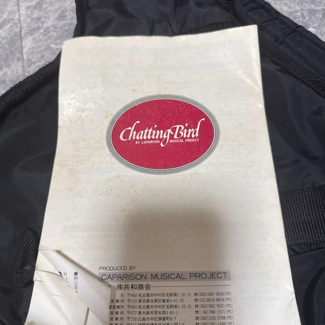 エレキギター アンプ接続不明