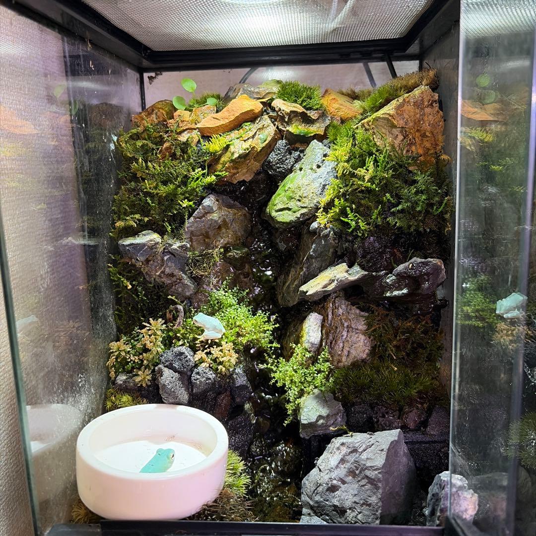 【受注生産】大きな滝のあるアクアテラリウム