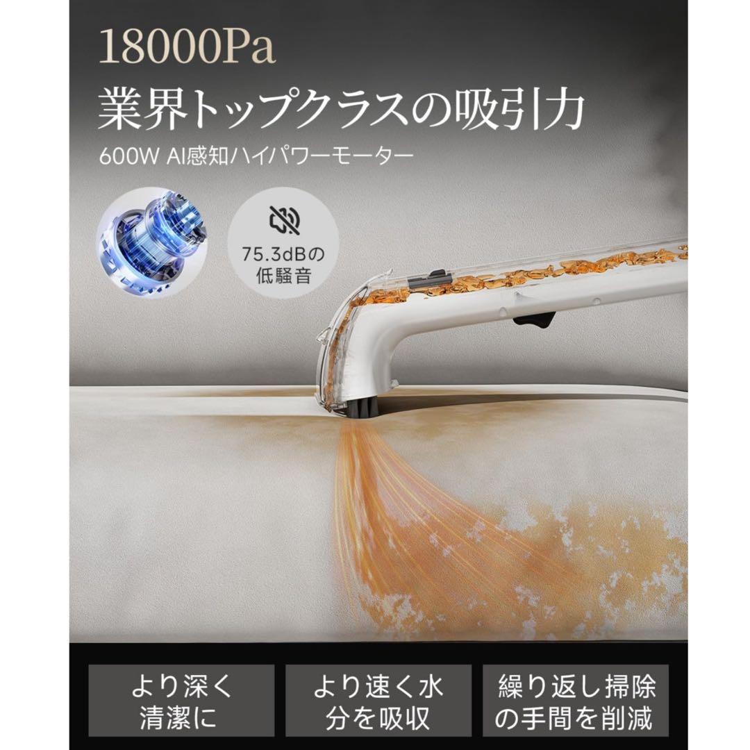 19,999円の品❤️リンサークリーナー⭐️カーペットクリーナー⭐️大容量タンク