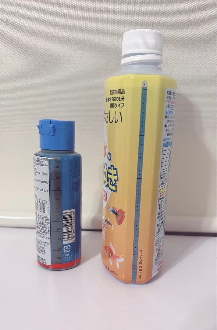 始めて飼育簡単一式セット