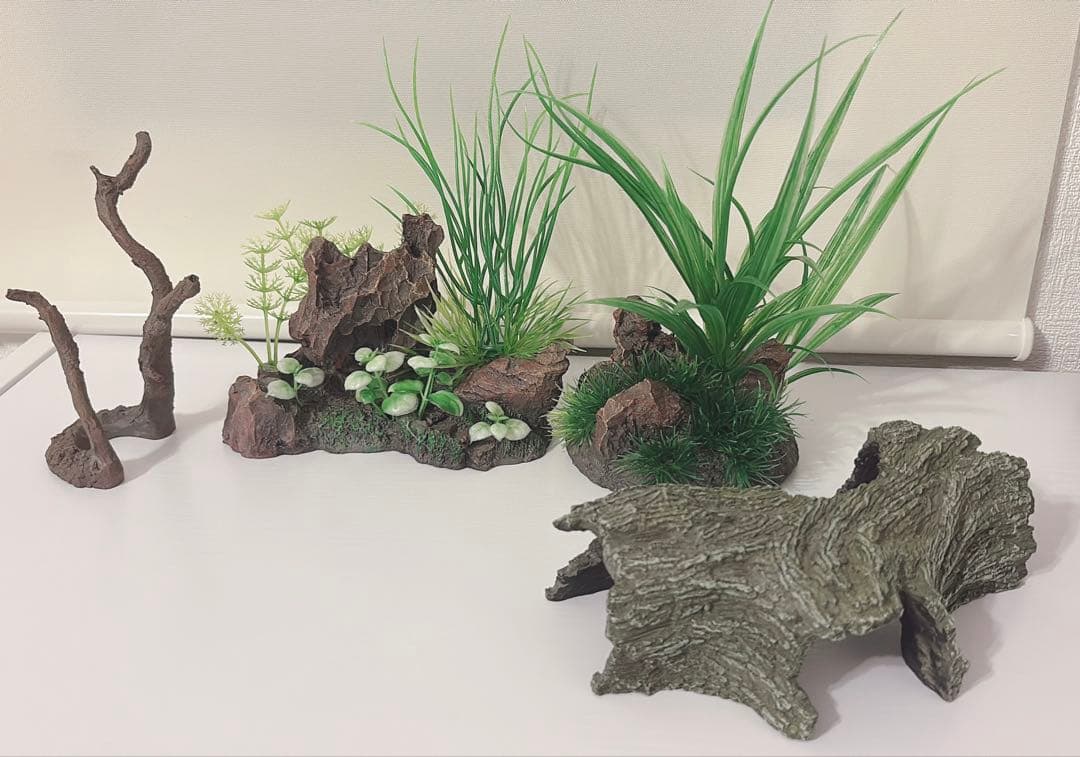 始めて飼育簡単一式セット