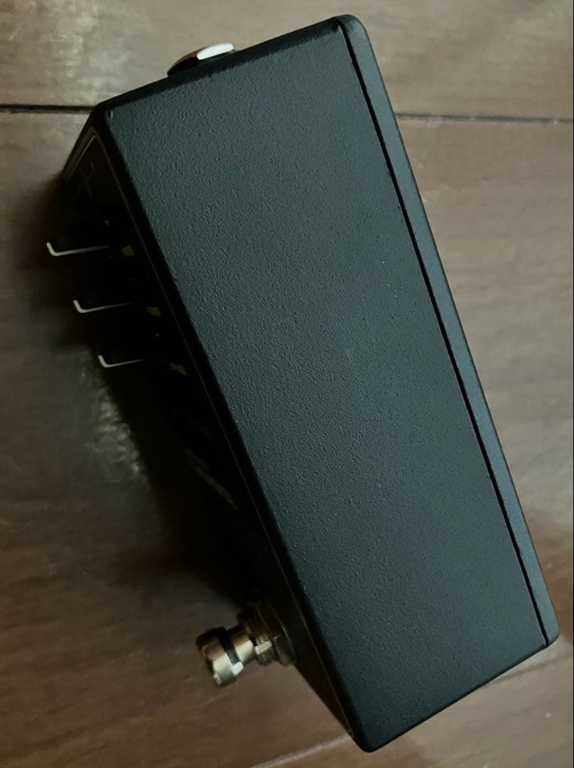 WALRUSAUDIO FUNDAMENTAL AMBIENT リバーブディレイ