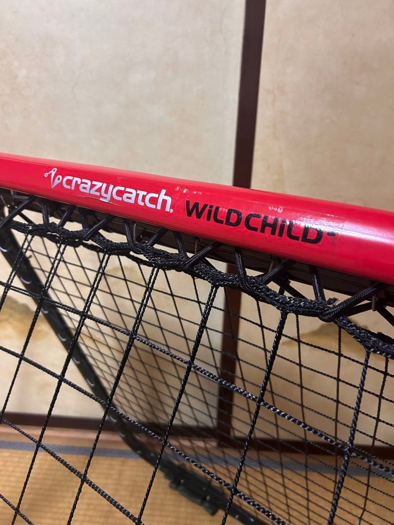 クレイジーキャッチ