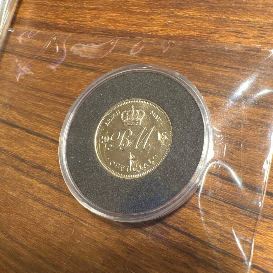 queen ブライアン　メイ　　2015 アダムランバート