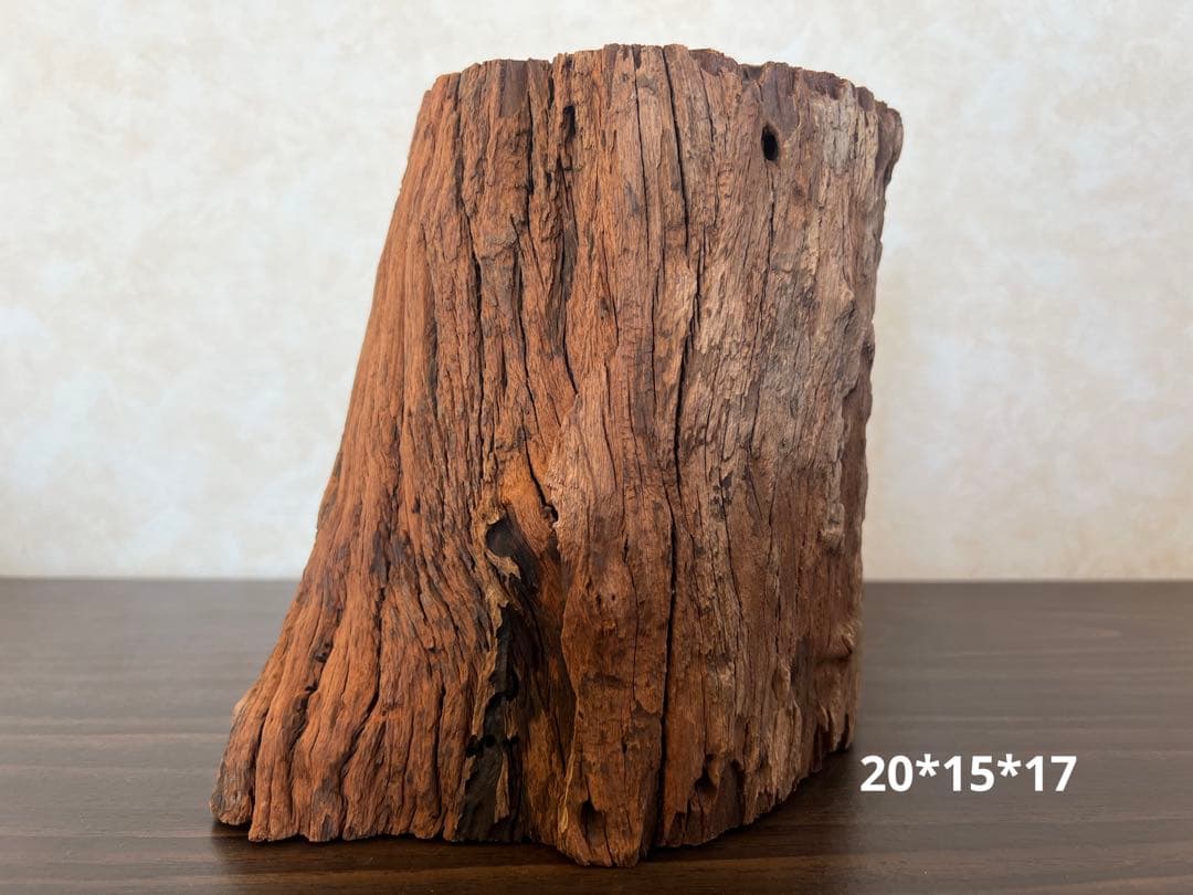 HX-007流木　空洞　爬虫類　アクアリウム　アクアテラリウム　即沈水