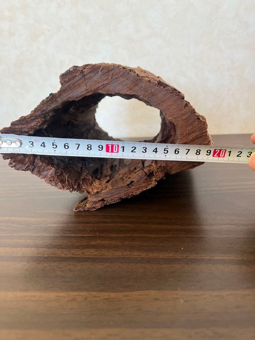 HX-007流木　空洞　爬虫類　アクアリウム　アクアテラリウム　即沈水