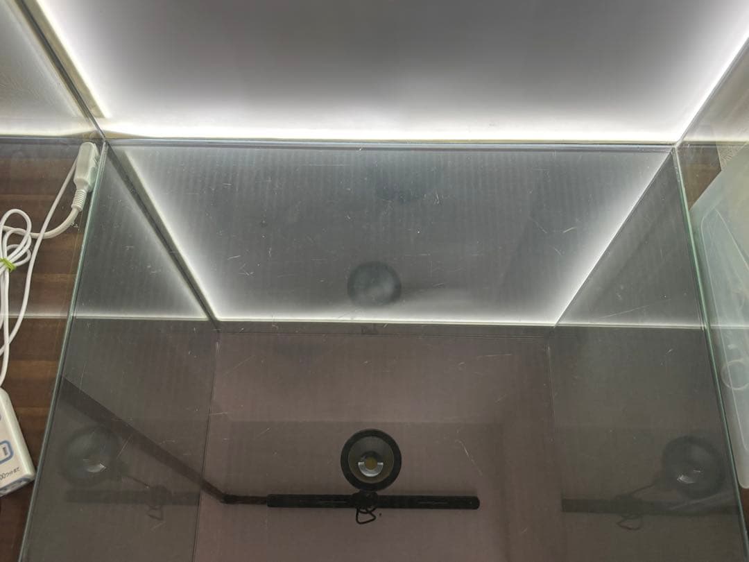 9/13ロボコン様購入予定 60cmオールガラス水槽600×450×600