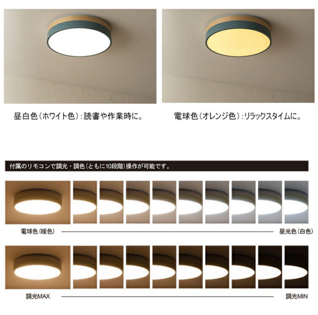 BRID Olika LED Ceiling Light Ver.2 ホワイト