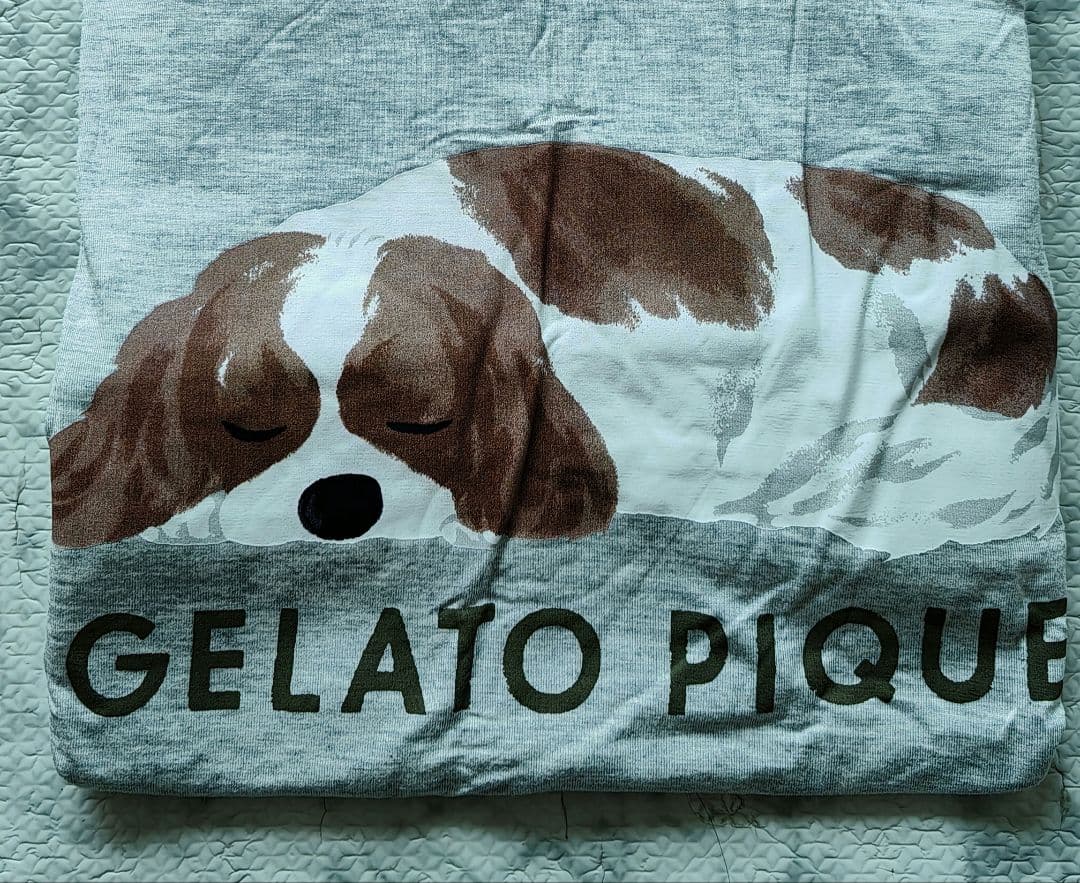 ジェラートピケ ルームウェア　キャバリア上下セット　　16-1