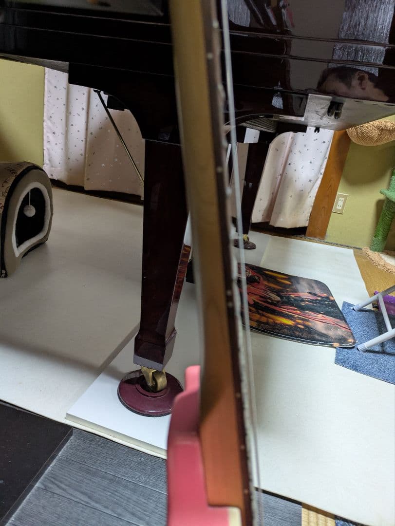 セミアコ　デイジーロック　Daisy Rock ピンク エレキギター