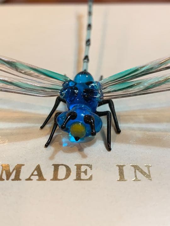 ベネチアンガラス　巨匠ヴィットリオ・コスタンティーニ　とんぼ