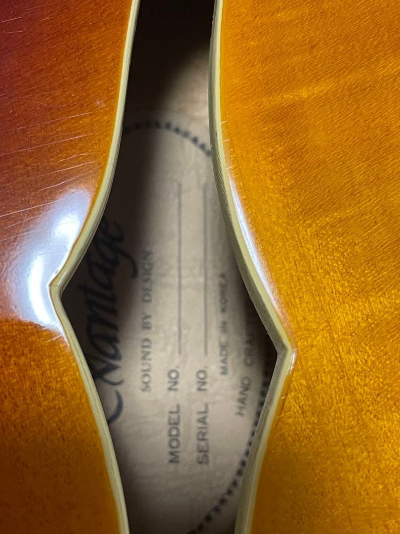 Vantage 635TG セミアコ