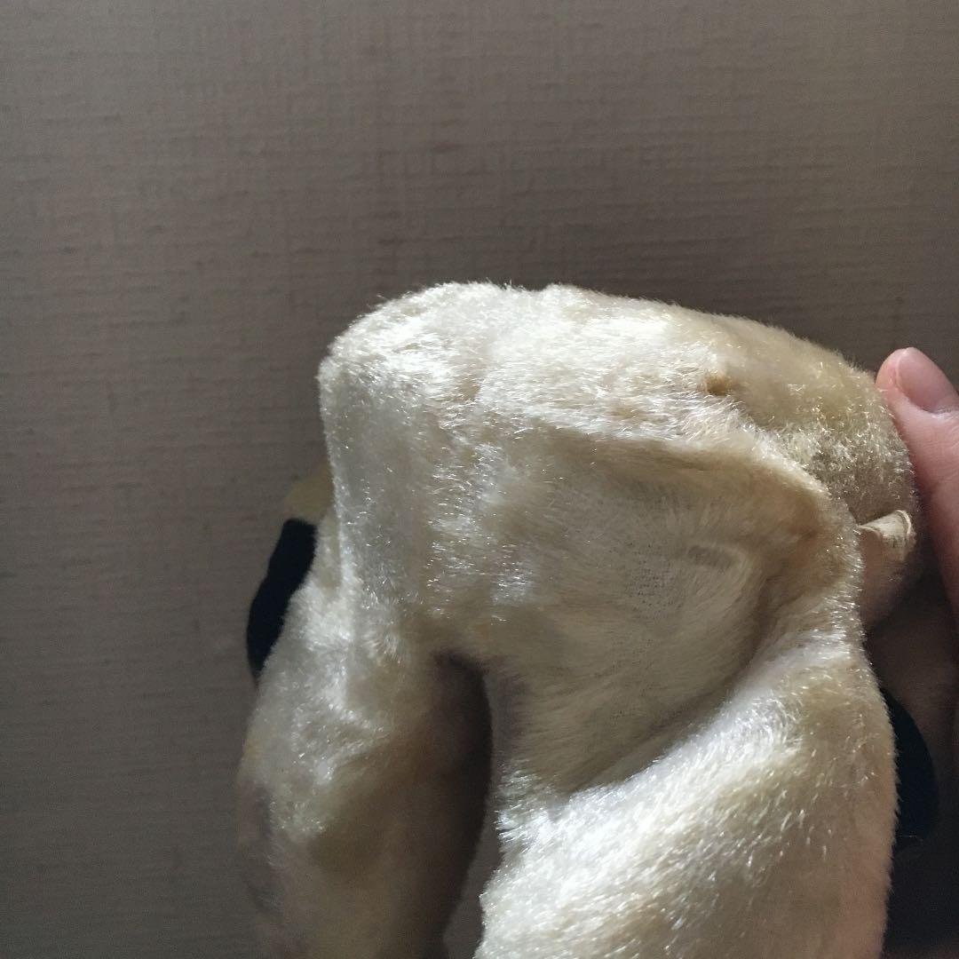 スーティーベア