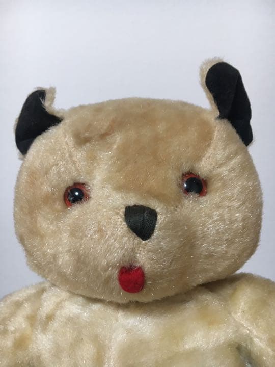 スーティーベア