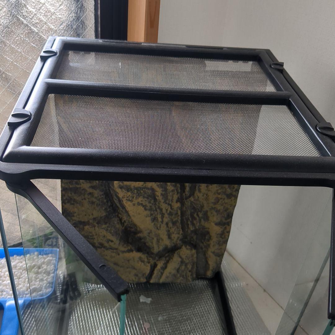爬虫類　ガラス製テラリウムゲージ